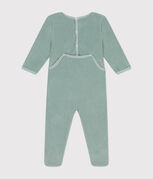 groen PAUL