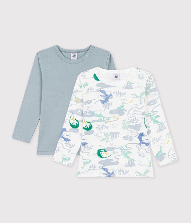 Lot de tee-shirts enfant en coton manches longues imprim&eacute; dragons multicouleur