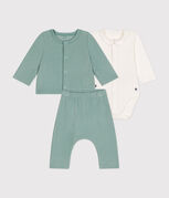 groen PAUL