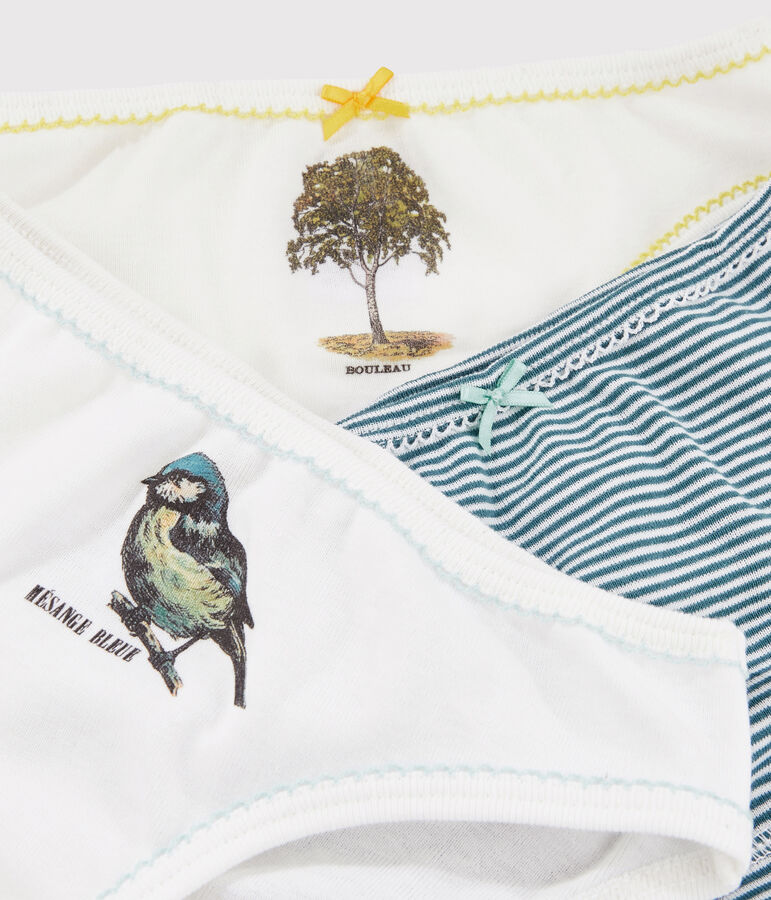 Set van 3 Petit Bateau x Deyrolle slipjes van voor kleine meisjes variante 1