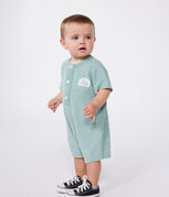 groen PAUL