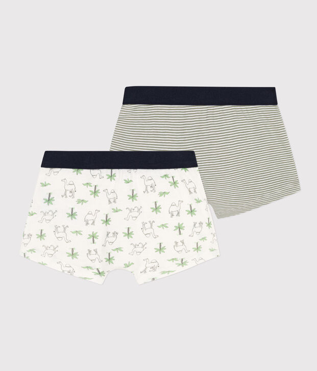 Set van 2 katoenen boxershorts met dromedarisprint voor jongens multicouleur