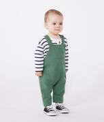 groen PALMERAIE