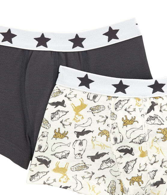 Set van 2 boxershorts voor jongens variante 1
