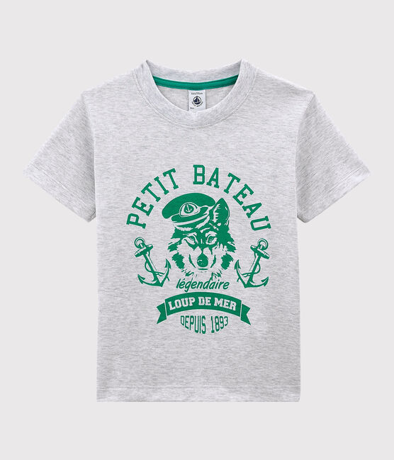 Tee-shirt manches courtes en jersey enfant garçon gris POUSSIERE CHINE