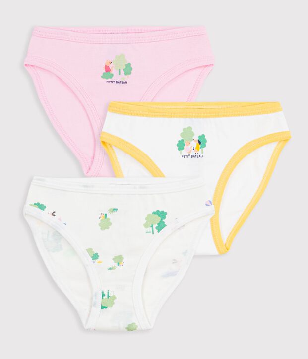 Lot de 3 culottes en coton multicouleur