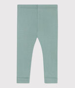 groen PAUL