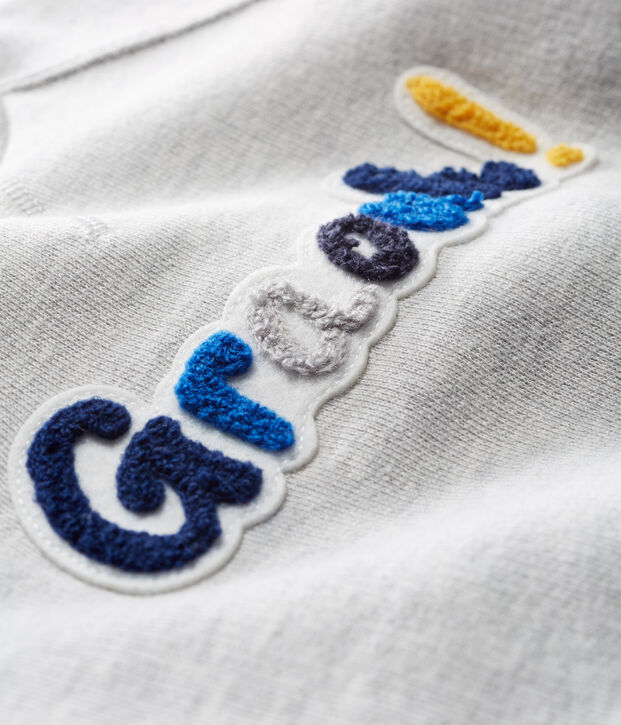Sweatshirt b&eacute;b&eacute; gar&ccedil;on en molleton gris