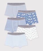 multicouleur