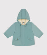 groen PAUL