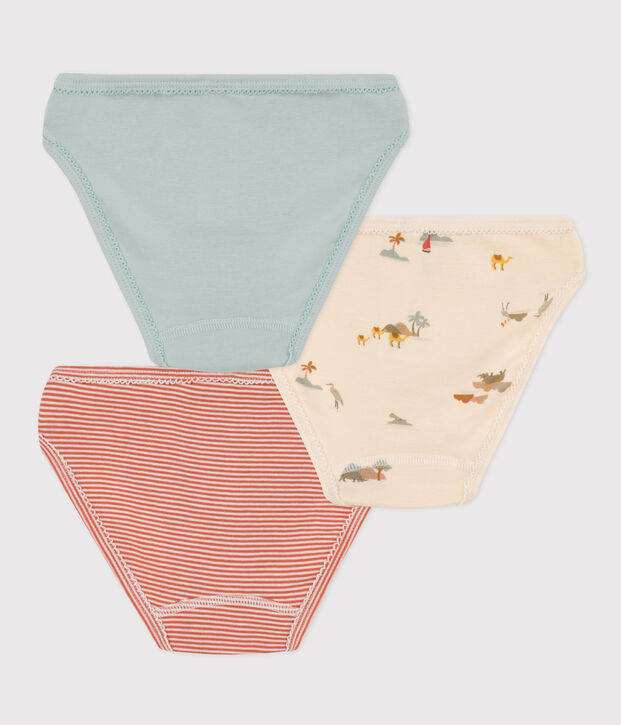 Set van 3 katoenen meisjesslips met dierenprint multicouleur
