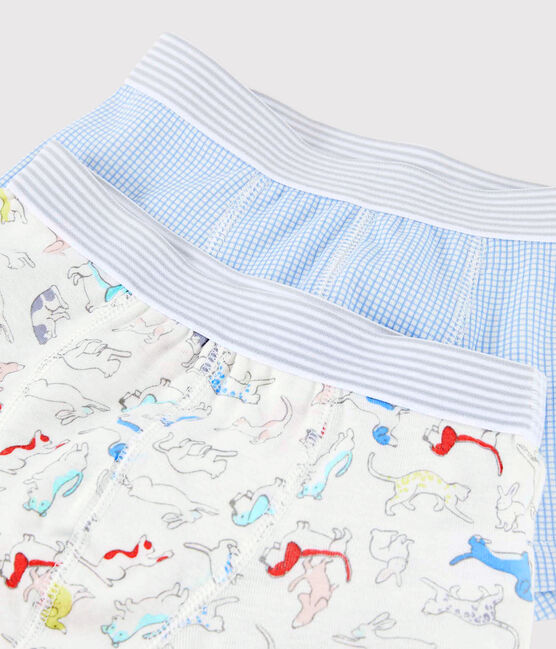 Set van 2 boxershorts met dierenprint van biologisch katoen voor jongetjes variante 1