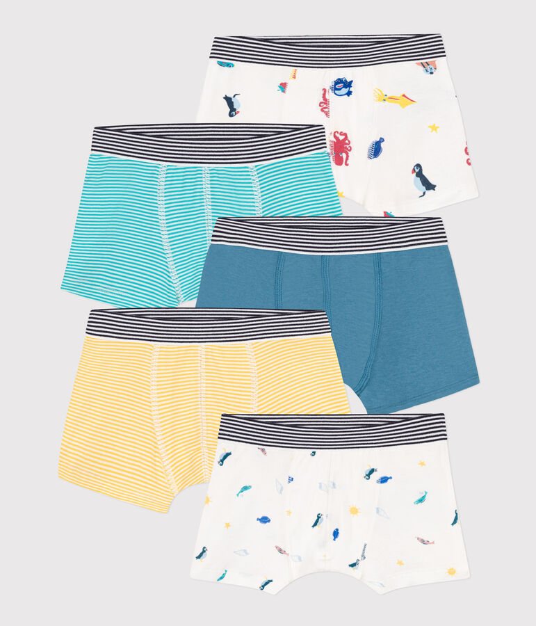 Lot de 5 boxers en coton petit gar&ccedil;on multicouleur
