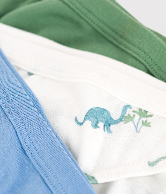 Lot de 3 slips enfant en coton imprimé dinosaures variante 1