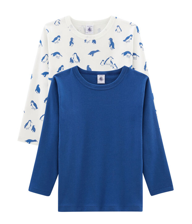Duo de tee-shirts manches longues petit gar&ccedil;on multicouleur