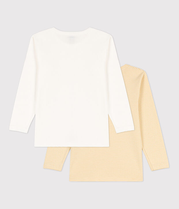 Lot de 2 tee-shirts manches longues petit gar&ccedil;on en coton multicouleur