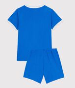 bleu