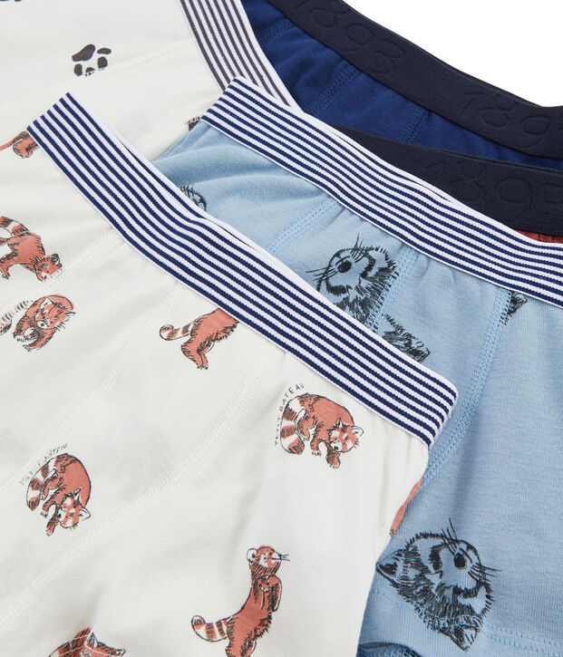 Set van 5 boxers voor jongens multicouleur