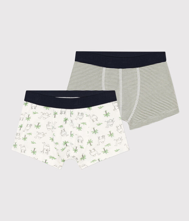 Set van 2 katoenen boxershorts met dromedarisprint voor jongens multicouleur