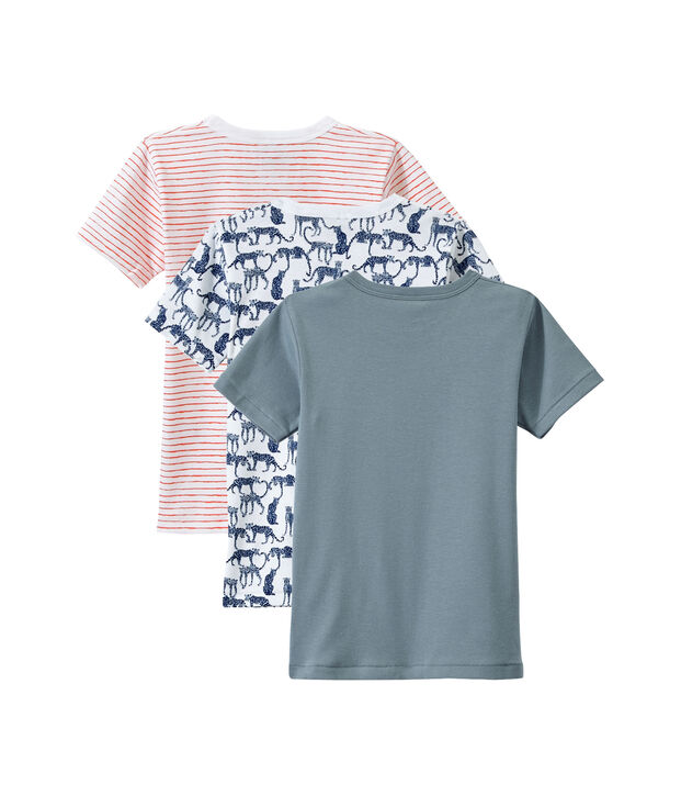 Lot de 3 t-shirts gar&ccedil;on manches courtes blanc