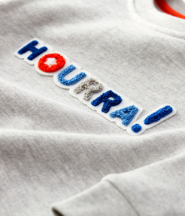 Sweatshirt en molleton b&eacute;b&eacute;. gris BELUGA CHINE