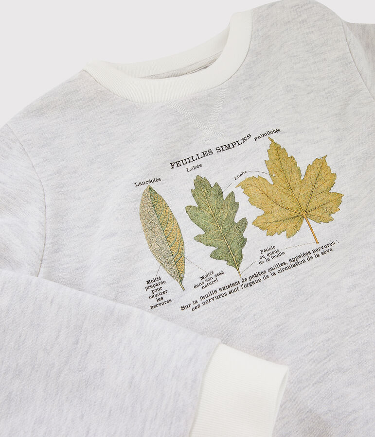 Sweatshirt enfant gar&ccedil;on Petit Bateau x Deyrolle beige MONTELIMAR CHINE
