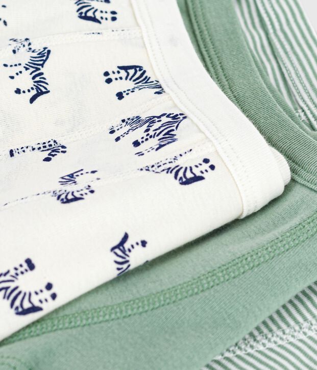 Lot de boxers enfant en coton &agrave; ceinture collet&eacute;e imprim&eacute; z&egrave;bres multicouleur