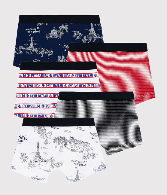 Lot de 5 toile de Jouy Paris petit garçon variante 1
