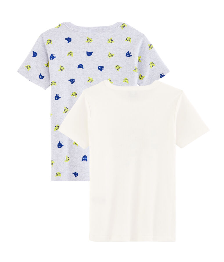 Duo de tee-shirts petit gar&ccedil;on multicouleur