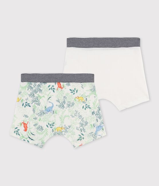 Duo de boxers petit garçon variante 1