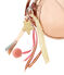 Sac enfant fille COPPER