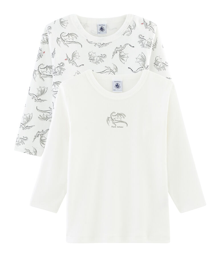 Duo de tee-shirts manches longues petit gar&ccedil;on multicouleur