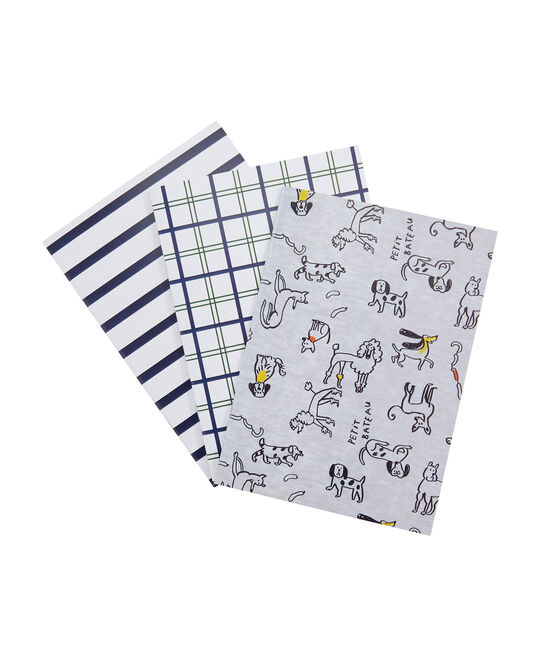 Set van drie schriftjes grijs POUSSIERE/wit MULTICO