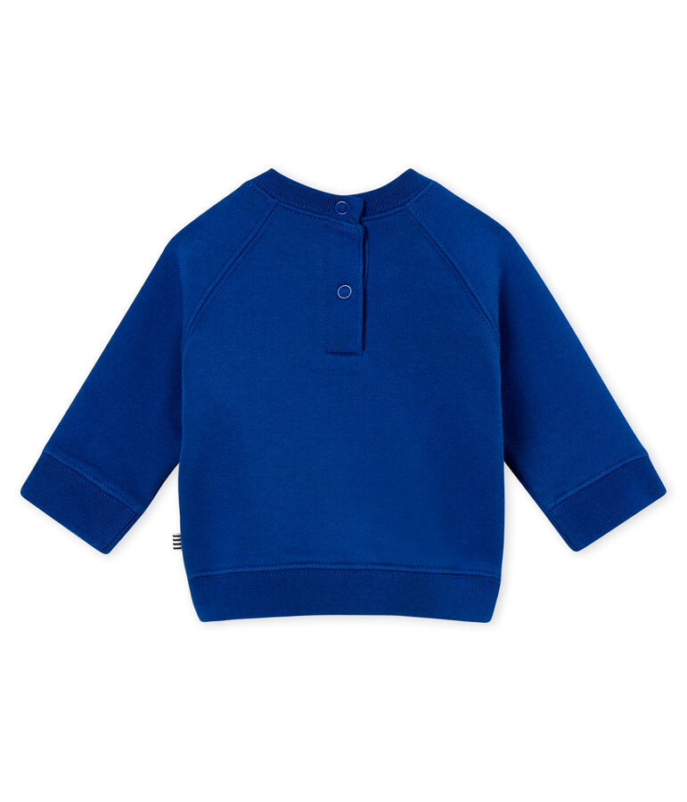 Sweater voor babyjongens blauw LIMOGES