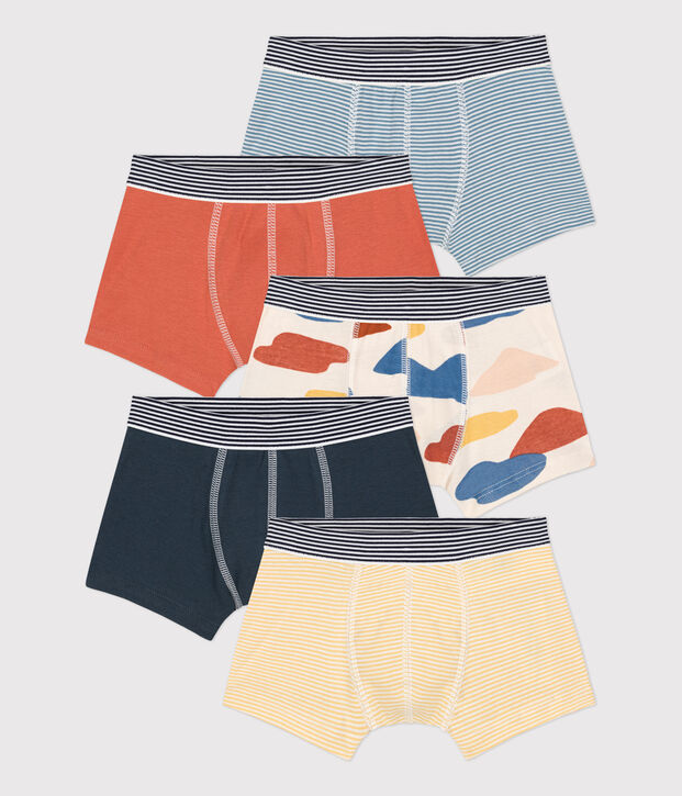 Lot de 5 boxers petit gar&ccedil;on en coton multicouleur
