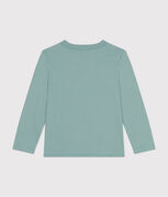 groen PAUL