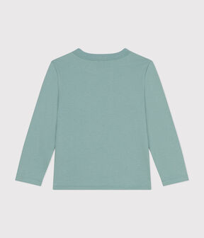 groen PAUL
