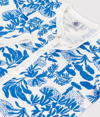 wit/blauw