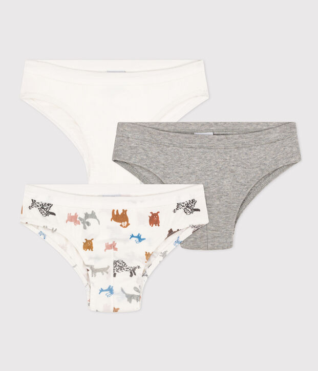 Lot de 3 slips chien en coton petit gar&ccedil;on multicouleur