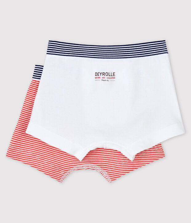 Set van 2 Petit Bateau x Deyrolle boxers voor kleine jongens multicouleur