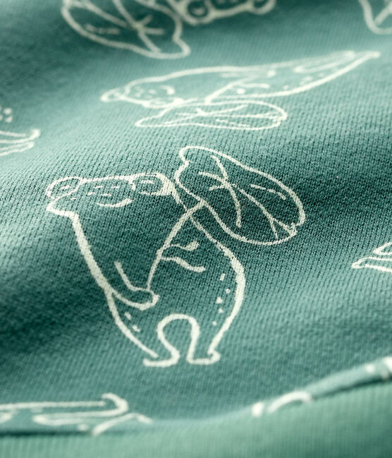 Sweater van geborsteld molton voor babyjongens groen VALLEE/ VALLEE CLAIR