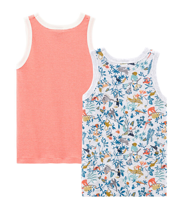 Set van 2 jongenshemdjes multicouleur