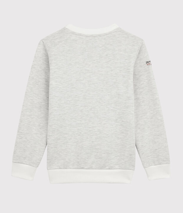 Bateau x Deyrolle sweatshirt voor jongen MONTELIMAR CHINE