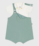 groen PAUL