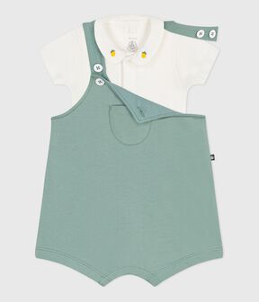 groen PAUL