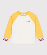 &eacute;cru/multicouleur