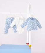 blauw ADRIATIC/ MULTICO