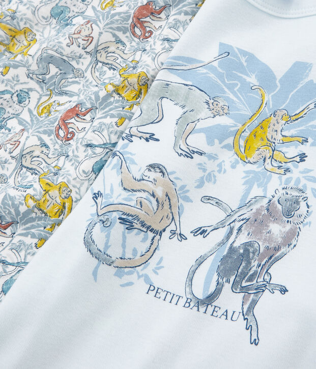 Duo de tee-shirts manches courtes petit gar&ccedil;on multicouleur