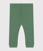 groen PALMERAIE