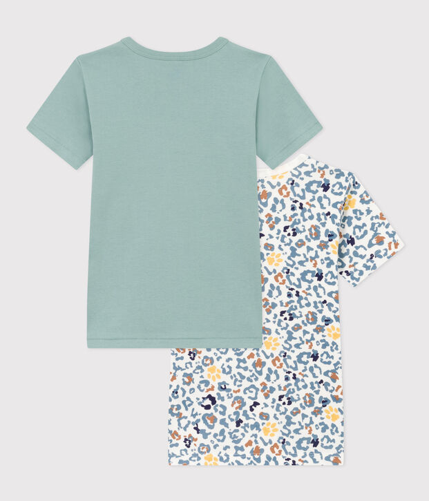 Lot de 2 tee shirts manches courtes en coton petit gar&ccedil;on multicouleur